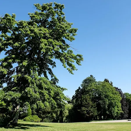 Domaine Du Bed & Breakfast Chigny-les-Roses