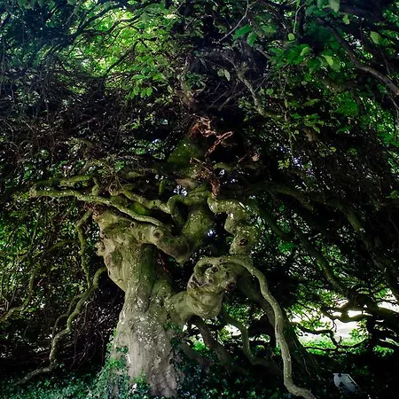 Domaine Du Nocleg ze śniadaniem