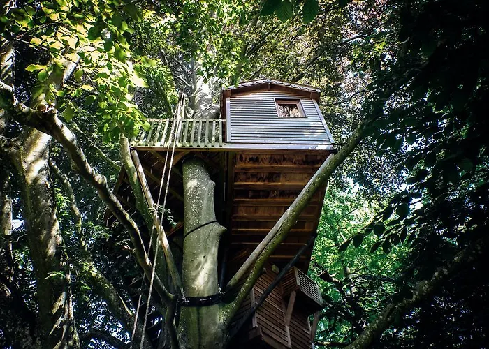 Bed & Breakfast Domaine Du Chigny-les-Roses