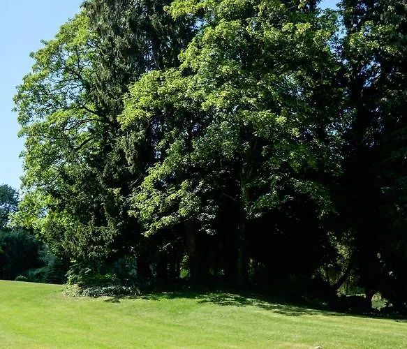 Domaine Du Bed & Breakfast Chigny-les-Roses