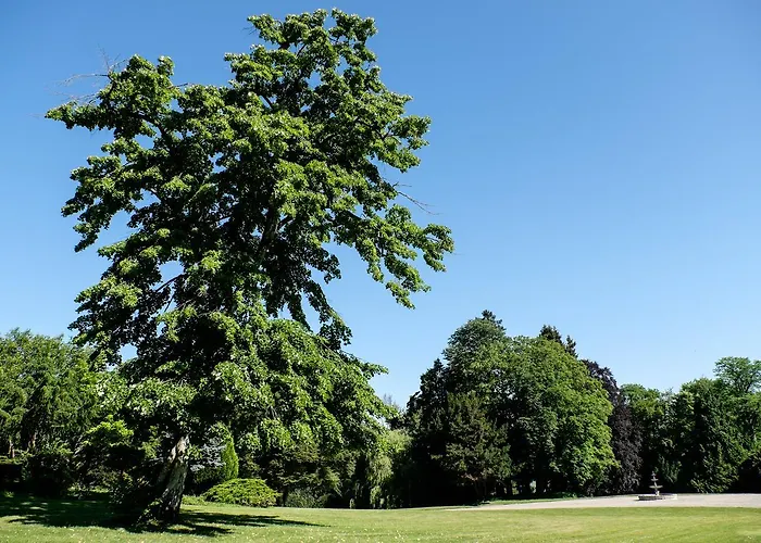Domaine Du Bed & Breakfast Chigny-les-Roses